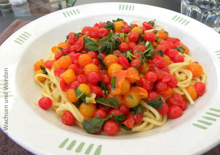 Viele viele bunte - Johannisbeertomaten mit Spaghetti - Vom Wachsen